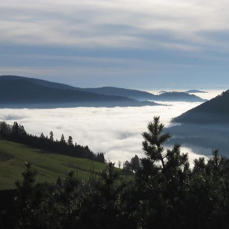 Schoene Aussicht Todtnau Dış mekan fotoğraf