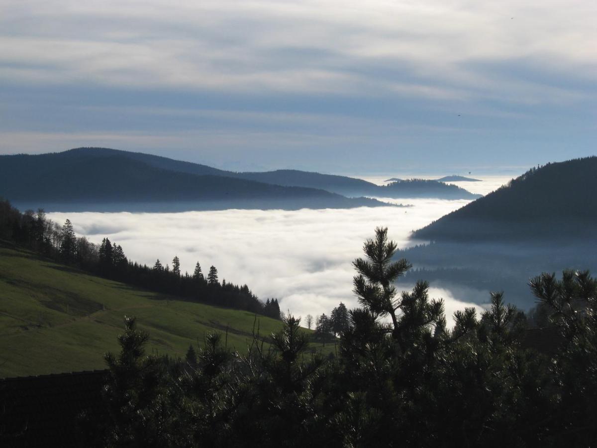 Schoene Aussicht Todtnau Dış mekan fotoğraf