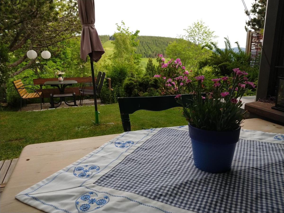 Schoene Aussicht Todtnau Dış mekan fotoğraf