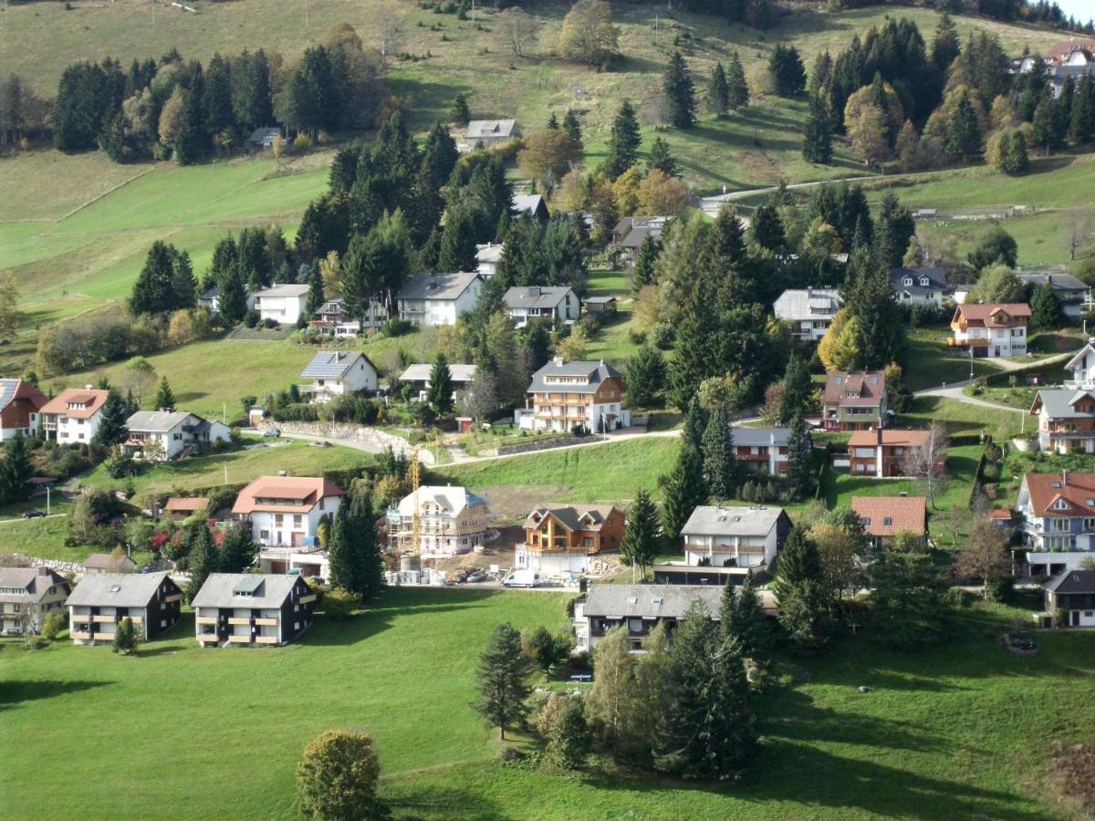 Schoene Aussicht Todtnau Dış mekan fotoğraf