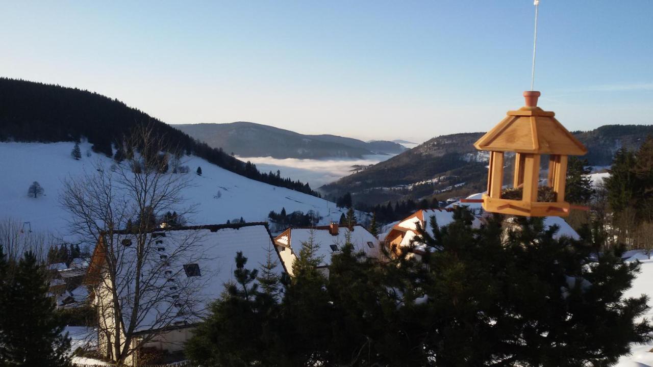Schoene Aussicht Todtnau Dış mekan fotoğraf