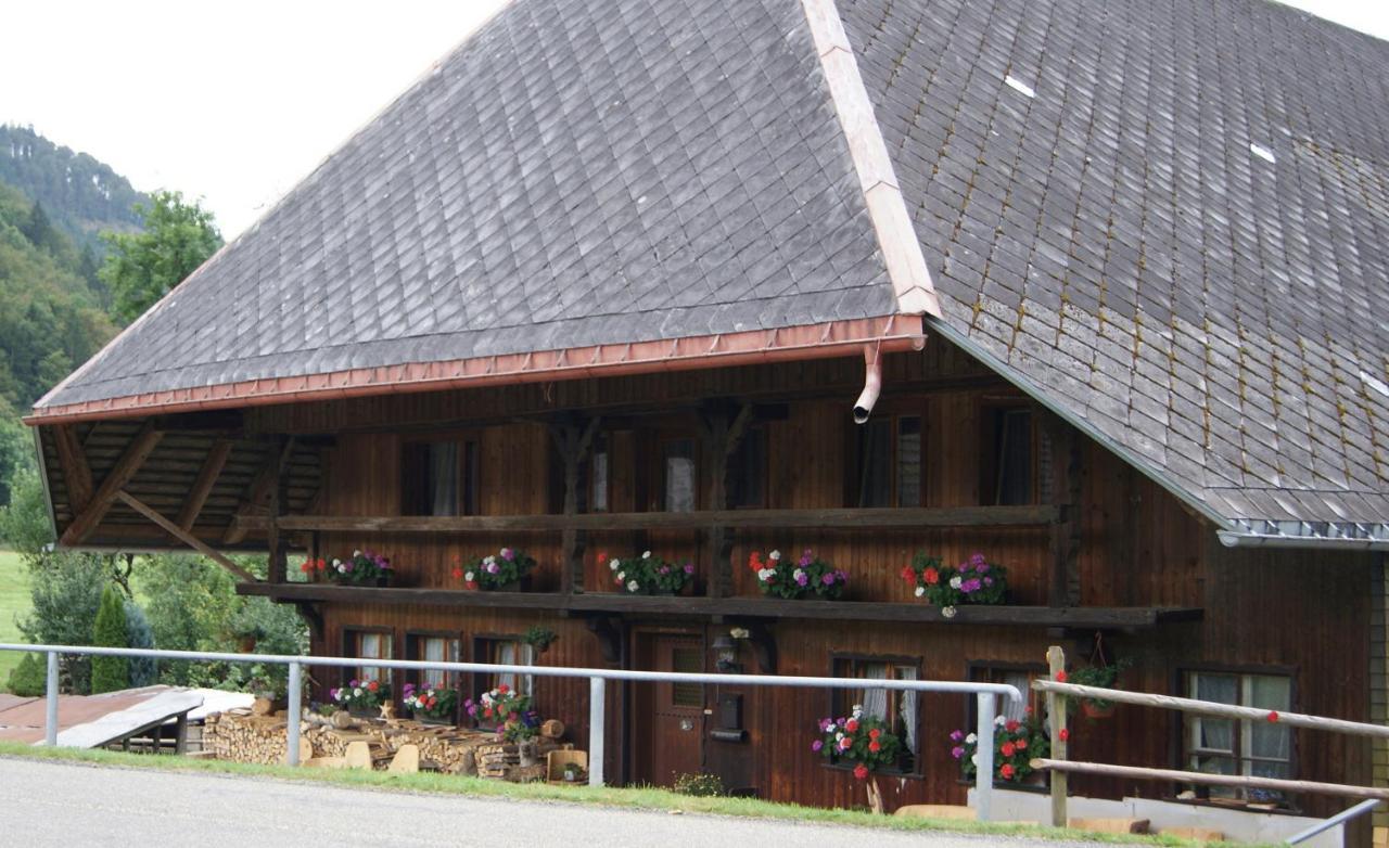 Schoene Aussicht Todtnau Dış mekan fotoğraf