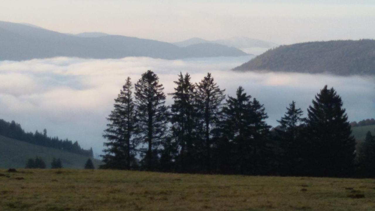 Schoene Aussicht Todtnau Dış mekan fotoğraf