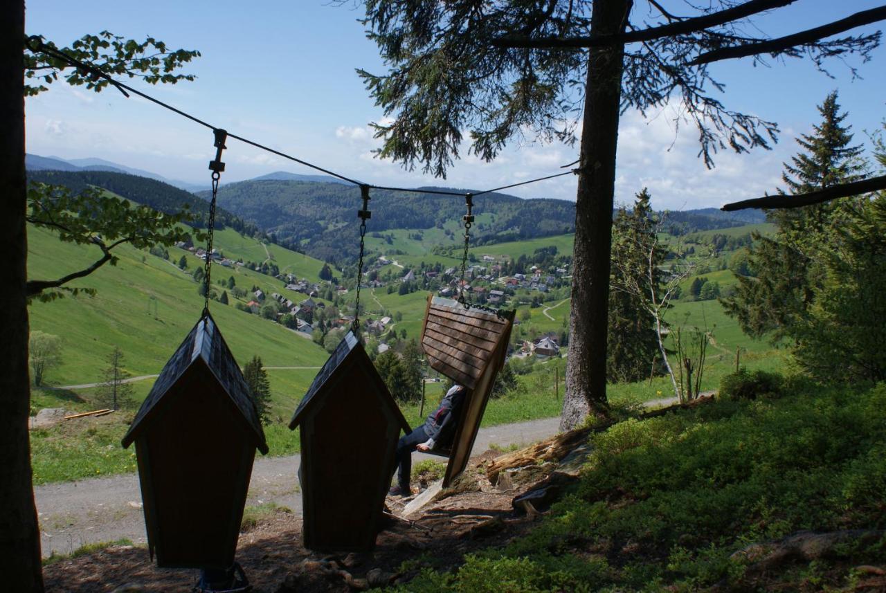Schoene Aussicht Todtnau Dış mekan fotoğraf