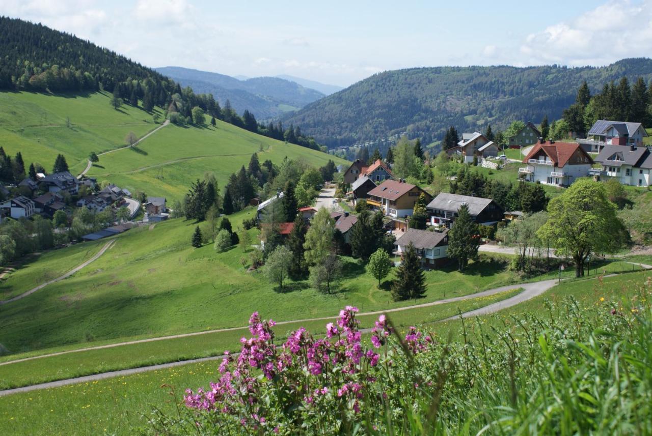 Schoene Aussicht Todtnau Dış mekan fotoğraf