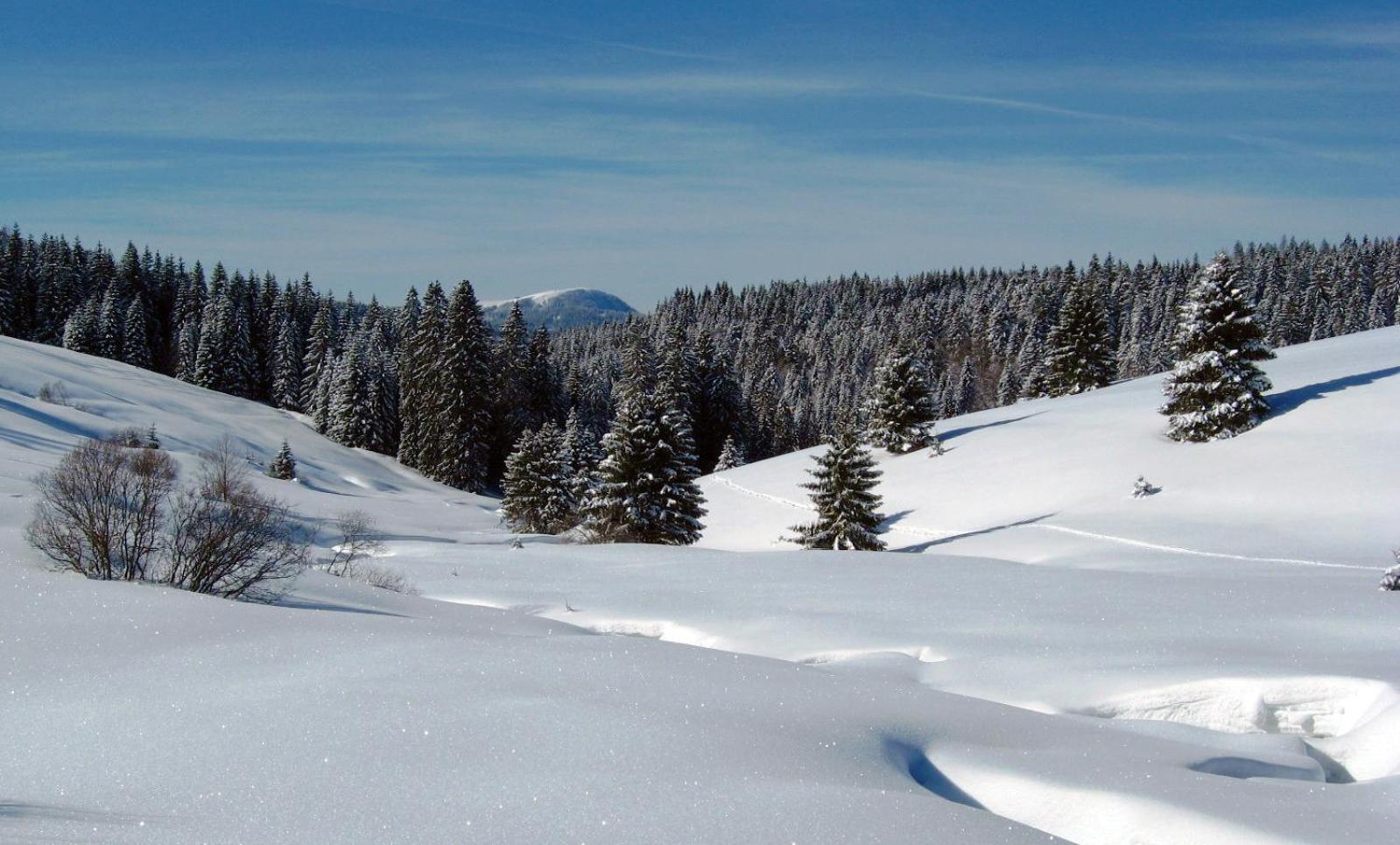 Schoene Aussicht Todtnau Dış mekan fotoğraf