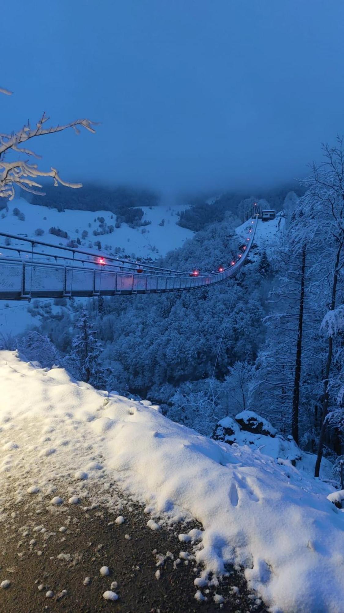 Schoene Aussicht Todtnau Dış mekan fotoğraf