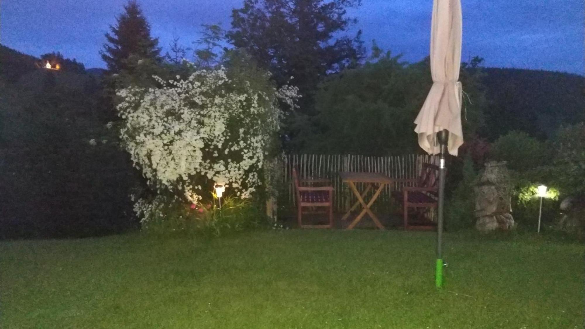 Schoene Aussicht Todtnau Dış mekan fotoğraf